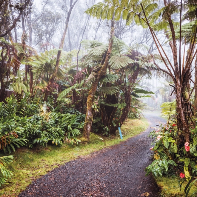 Calendario appunti Foreste Pluviali 2025