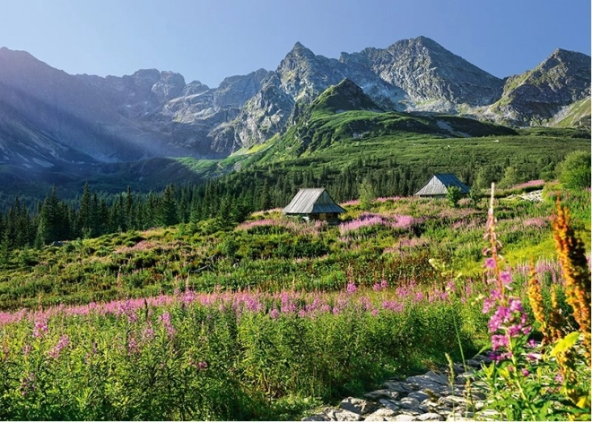 Puzzle Valle dei Bruco, Alti Tatra 1000 pezzi