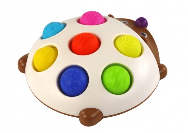 Tavola divertente sensoriale riccio Montessori