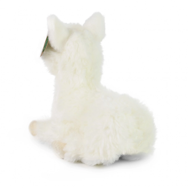 Lama di peluche sdraiata 23 cm Eco-Friendly