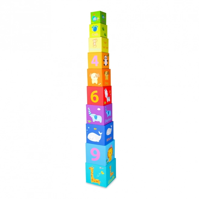 Torre a incastro puzzle scatola dei blocchi da Classic World