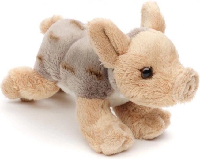 Leggero e ideale per i viaggi