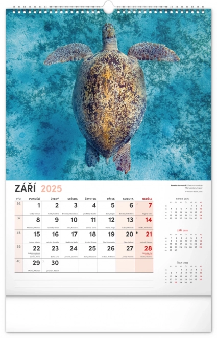 Notique calendario da parete animali affascinanti 2025