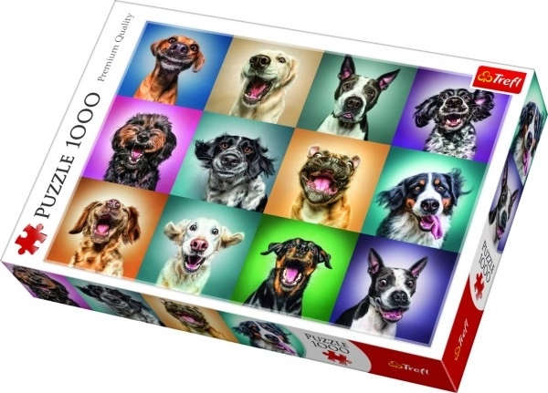 Ritratti Divertenti di Cani Puzzle 1000 Pezzi