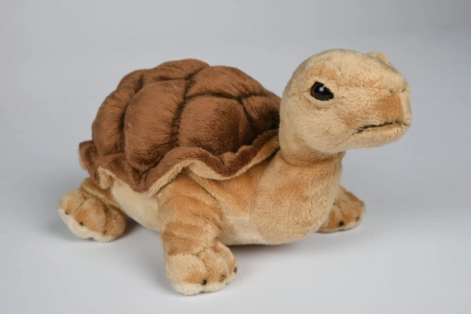 Peluches Tartaruga 32 cm