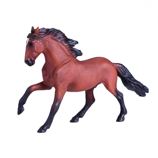 Cavallo Lusitano Marrone