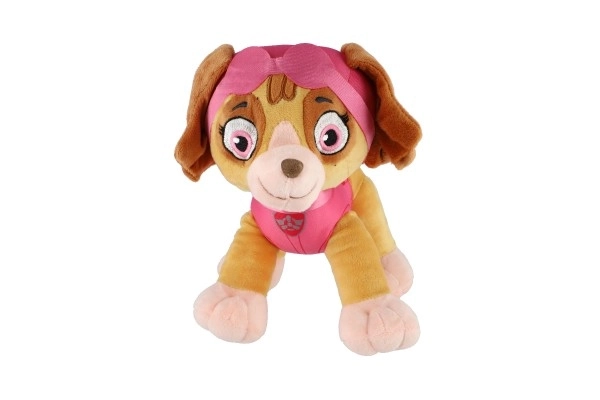 Figura della Paw Patrol Personaggio di peluche 6 tipi