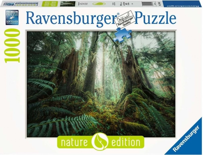 Puzzle Nel Bosco 1000 Pezzi