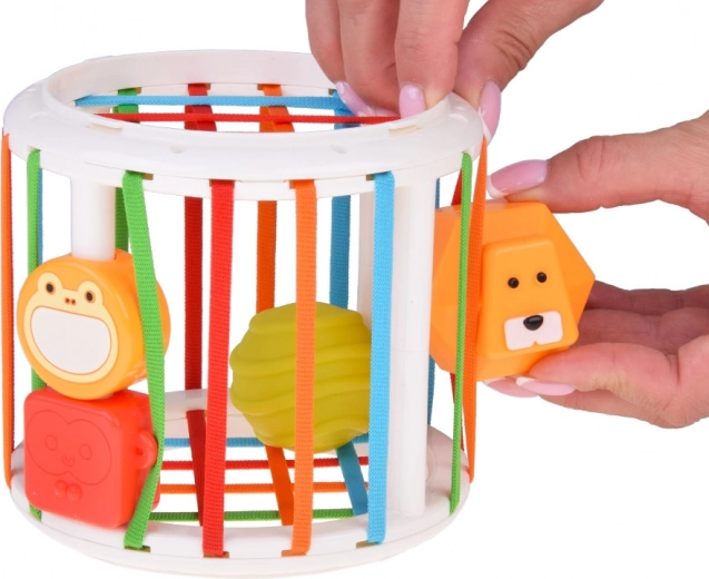 Sorter intelligente con fasce elastiche