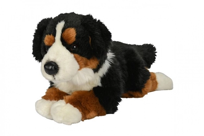 Peluche Cane di Montagna Bernese 40 cm