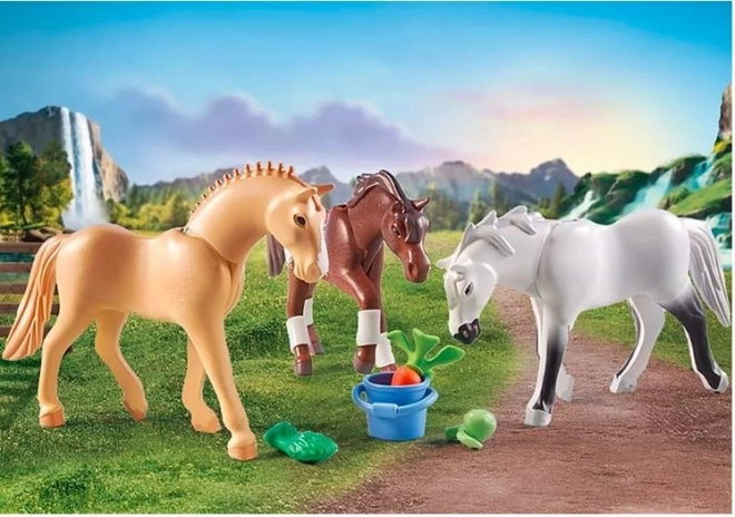 Set con figurine Cavalli: Morgan, Quarter Horse e Angloarabo