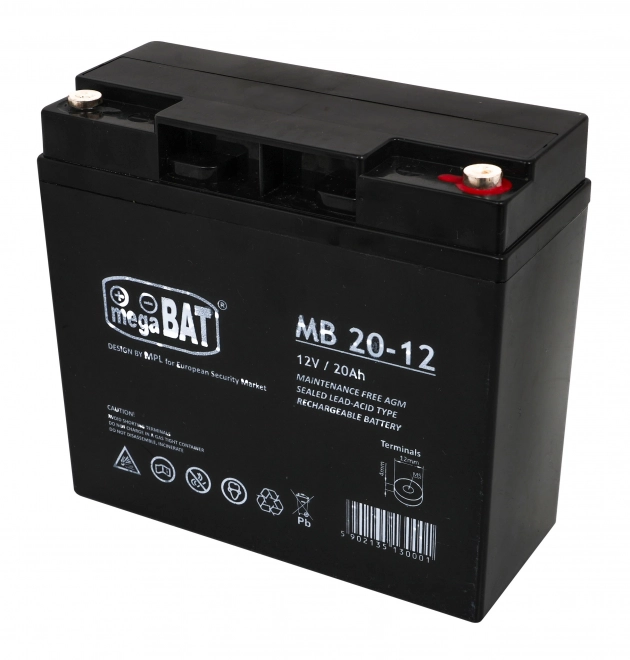 Batteria Ricaricabile 12V/20AH per Veicoli