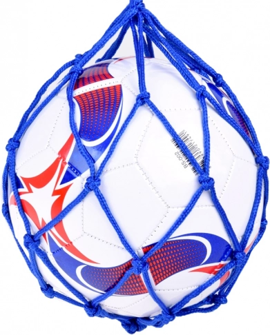 Allenatore di calcio