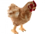 Gallina di peluche
