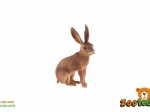 Figurina in plastica di lepre europea 6 cm
