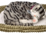 Gattino di peluche che respira – soriano grigio