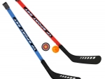 Set di stecche da hockey con pallina e disco