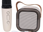 Set karaoke con microfono wireless e altoparlante Bluetooth portatile con RGB