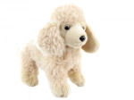 Barboncino di peluche 24 cm