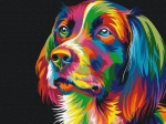 Dipingi per Numero - Cane Colorato