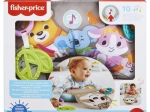 FP CUSCINETTO PER IL TUMMY TIME BRADIPO