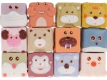 Cubetti sensoriali con animali per bambini 12 pz