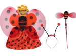 Costume di Carnevale Coccinella