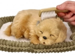 Adotta un cucciolo di Golden Retriever che respira