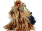 Yorkshire terrier di peluche seduto ecologico 23 cm