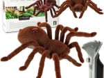 Tarantola pelosa telecomandata con telecomando