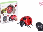 Coccinella gigante RC a radiocomando 9 cm - confezione in ceco