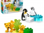 LEGO DUPLO famiglie di animali selvatici: pinguini e leoni