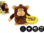 Scimmietta di peluche Tonička che ripete le frasi 18 cm con suono