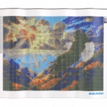 Pittura di diamante Majestoso rapace