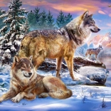 Puzzle 500 pezzi Wolfish Wonderland