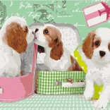 Paint it! Dipingere per numeri: Cuccioli Adorabili