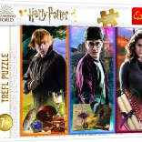 Puzzle HARRY POTTER 200 pezzi nel mondo della magia e degli incantesimi