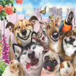 Pittura di diamanti Selfie pazzo 30x40 cm