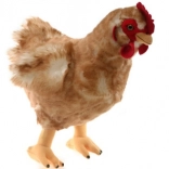 Gallina di peluche