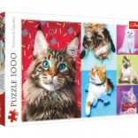 Puzzle Gatte Felici 1000 pezzi 68,3x48 cm in scatola 40x27x6 cm