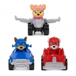 PAW PATROL FILM 2 MINI AUTO MULTIPACK
