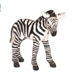 figurina puledro di zebra 7 cm