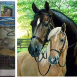 Norimpex pittura diamantata – cavalli 30 × 40 cm