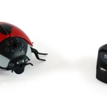 Magana coccinella radiocomandata