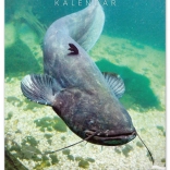 Calendario da parete di pesca 2026