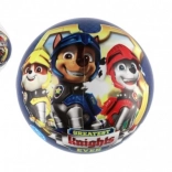 Palla Paw Patrol 23 cm blu in rete