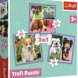 Puzzle 3in1 cuccioli adorabili Trefl