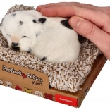 Dalmata che abbaia sul suo lettino