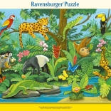 Puzzle 11 elementi Animali della foresta pluviale