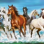 Puzzle 2000 pezzi Call of Nature